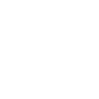 lyzr